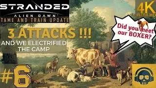 Stranded Alien Dawn (Early Access) in 4K - Tame and Train - Gameplay Walkthrough Part 6 (S2)