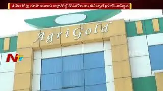 What Will Be The High Court's Judgement On Agri Gold Case? | Final Verdict On Aug 17th | NTV
