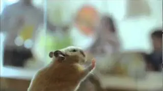Honk That Bus! / Hold That Bus!
