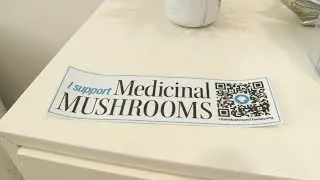 Provo-based mushroom treatment center believes psychedelic mushroom use to be constitutional right