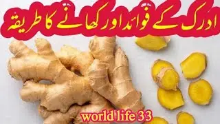Ginger Khane Ke Fayde | Health Benefits Of Ginger in Urdu/Hindi | Adrak Khane Ke Fayde | ادرک #world
