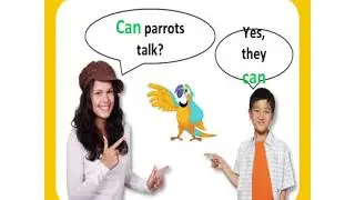 6 grade, Unit5  Language focus  Can for ability and permission