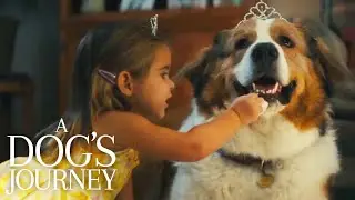 A Dog's Journey | Hannah & Bailey's Party | Film Clip