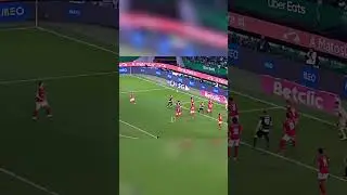 Epic Soccer Showdown: Goals, Saves, and Thrilling Goal Attempts!