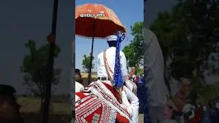 Khandeshi sambal l खानदेश न लग्न #khandeshi #khandeshisong #khandeshistatus #khandeshisambal #dance