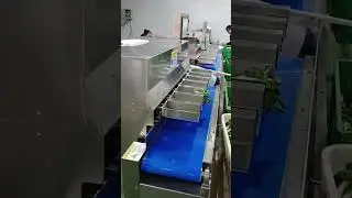 Vegetable agricultural products target weight combination scale