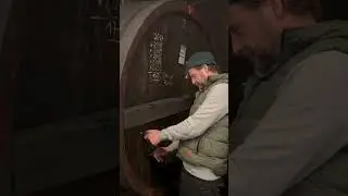 Großer Naturwein mit Herkunft - Weingut Schätzel