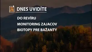 Poďte s nami do lesa 23-2025