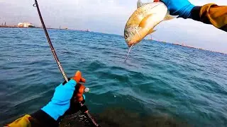 Storm Discovery 732 Light vs trevally