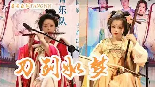 唐音乐队 | cover《刀劍如夢》西安大唐不夜城演出 | 中國樂器 Chinese music