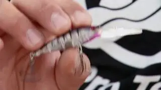 Choosing Crankbait Colors and Sizes