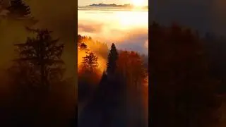 #world #lifestyle #2024 #мир #природа #живи_в_моменте ❤️