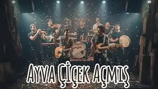 ​Ayva Çiçek Açmış, Yaz mı Gelecek? 🌸 (Modern Cover)