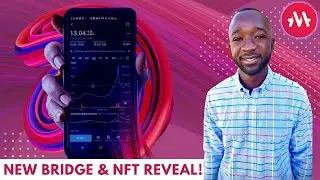 Don't Miss Out: MELD's Bridge Launch & FREE NFT!