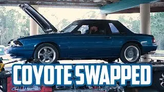 Badass Coyote Swapped Fox Body Dyno Pull