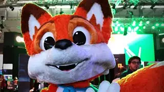 Case Study: Lucky (Super Lucky&rsquo;s Tale)