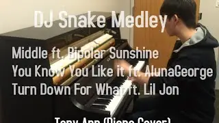 DJ Snake Medley - Middle / You Know You Like it / Turn Down For What - Tony Ann (Piano Cover)