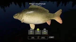 Russian fishing 4! Русская рыбалка 4! Копим на снасти ! NowGAME!