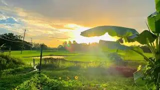 প্রকৃতির সুন্দর দৃশ্য_Bujhe na se bujhe na #shortvideos #viralvideo #populer_video