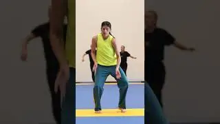 THE POWER OF THE SPINE by Fighting Monkey Practice