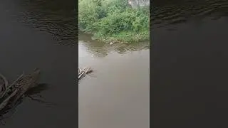 Natural Border River Bug #travelvlog #poland #belarus #border #river #nature