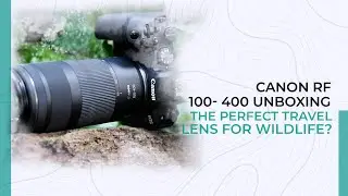 Canon RF 100-400 Unboxing | The perfect travel lens for Wildlife?