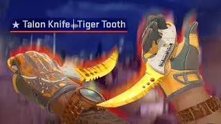 CS2 | Talon Knife (★) Tiger Tooth | Factory New FN SHOWCASE
