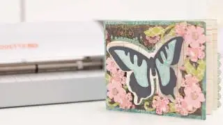 Silhouette SD, Sure Cuts A Lot 3 and SVGCuts.com