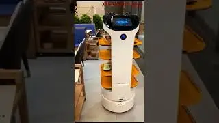 Food delivery robot waiter in restaurant