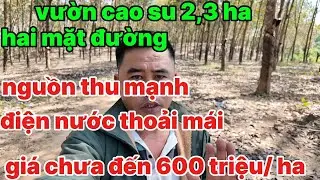 Vườn cao sự 2,3 ha ôm 2 mặt đường giá chưa đến 600 ha điện nước đầy đủ cách đường bê tông 300 mét