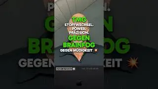 TMG 💥 Der untersch&auml;tzte Schl&uuml;ssel f&uuml;r Fokus, Energie & Performance!
