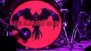 The Blackbird Mafia Rockin Ted Nugent