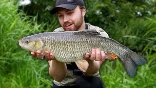 Quest For A MONSTER Chub (New PB!)