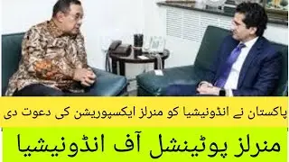 Mineral Potential of Indonesia | Pakistan & Indonesia Joint Working in Mineral Sector