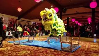 Calvin Chin Martial Arts Academy - East Coast Lion Dance Competition 2017