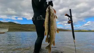 ЗНАКОМСТВО С ПОДВОДНЫМ МИРОМ НА ЗАЛИВЕ ТУТАЙ (БАЙКАЛ) Spearfishing in lake Baikal