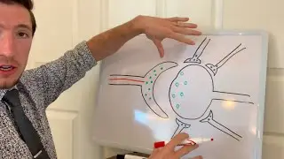 Mastering Pain Episode 4 (Part 2 of Pain Sensitization)