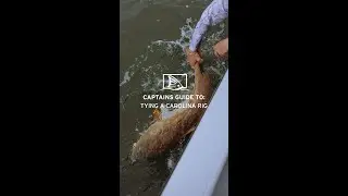 How To Tie a Carolina Rig
