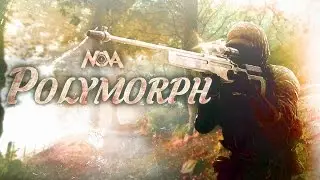 Polymorph. - [BF4]