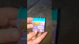 Animal Jam adopt a pet