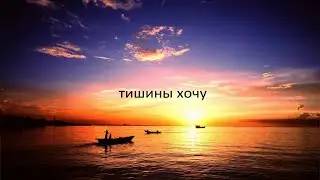 №49.Тишины хочу (гитара) / I want silence