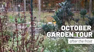 Экскурсия After the Frost Garden (октябрь 2023 г.)