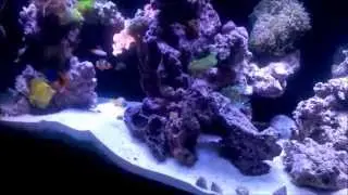 How to keep deep sand bed clean
