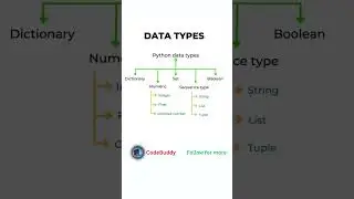 ✅ Python Data Types Explained in 1 Minute | Quick Guide for Beginners 🐍 #python #learnpython #pyth