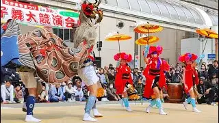 高岡獅子舞大競演会  三日曽根横町  すえひろ～ど会場  2025 Japanese Lion Dance