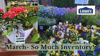 Blooms Galore: Tour of Lowe's Garden Center Inventory!
