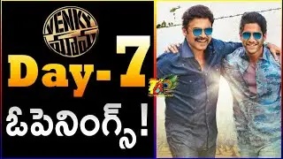 VenkyMama Day 7 Openings| Day 7 Openings Of VenkyMama| VenkyMama 7th Day Box Office Collections