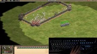Aoe2: How to micro monks like a professional