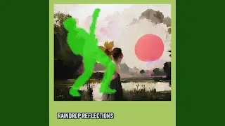 Raindrop Reflections