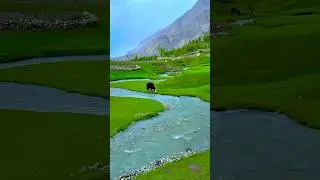 Kashmir beauty 🥰🏔️#kashmir #mountains #travel #jannatkashmir #nature #scenicviews #shortvideo